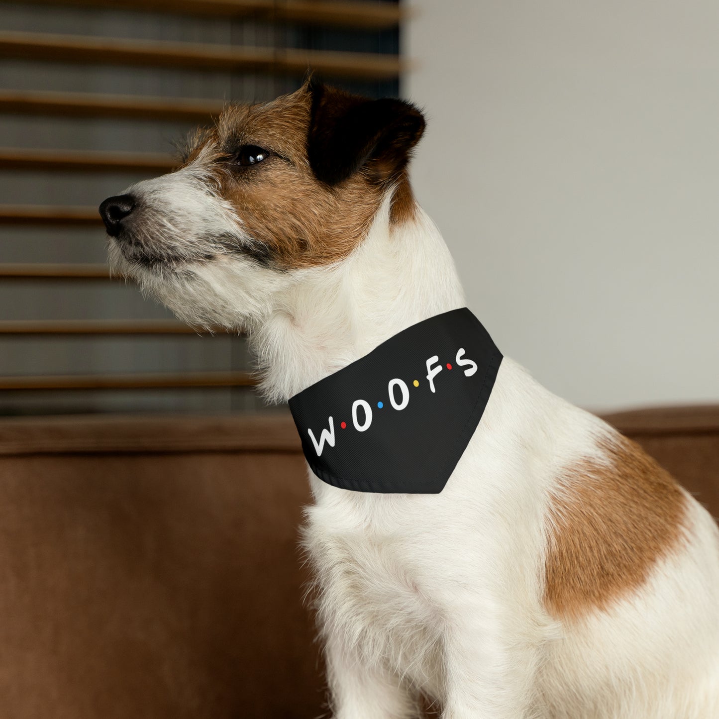 Woofs (Friends Style) Pet Bandana Collar