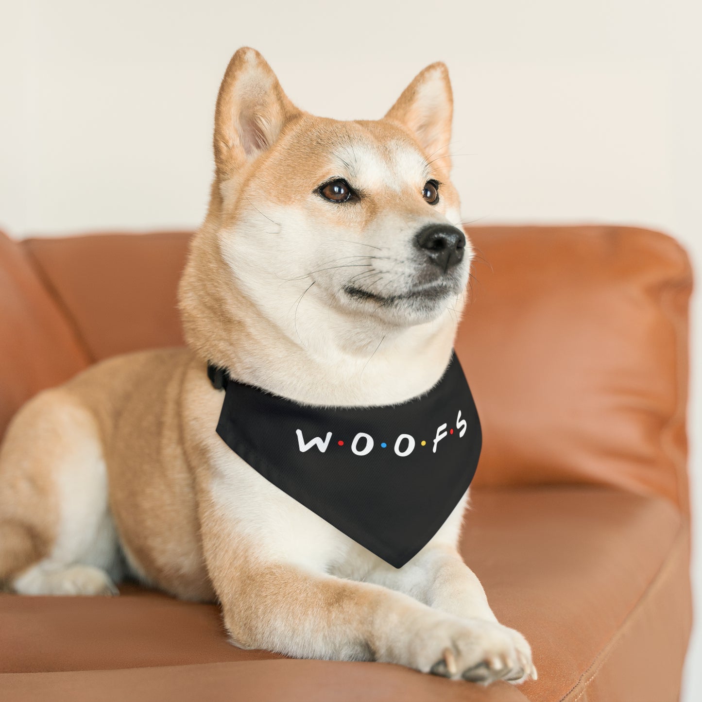 Woofs (Friends Style) Pet Bandana Collar