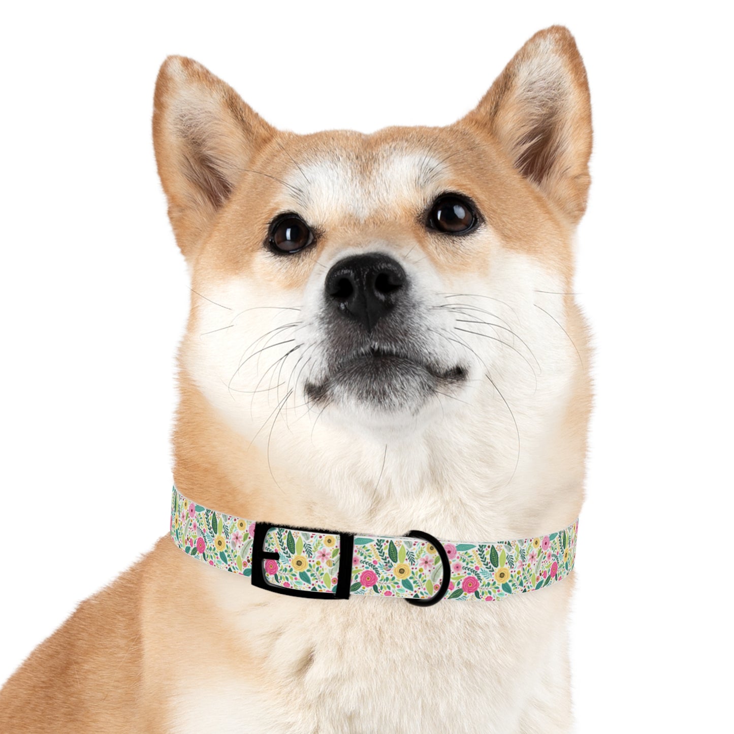 Floral Dog Collar