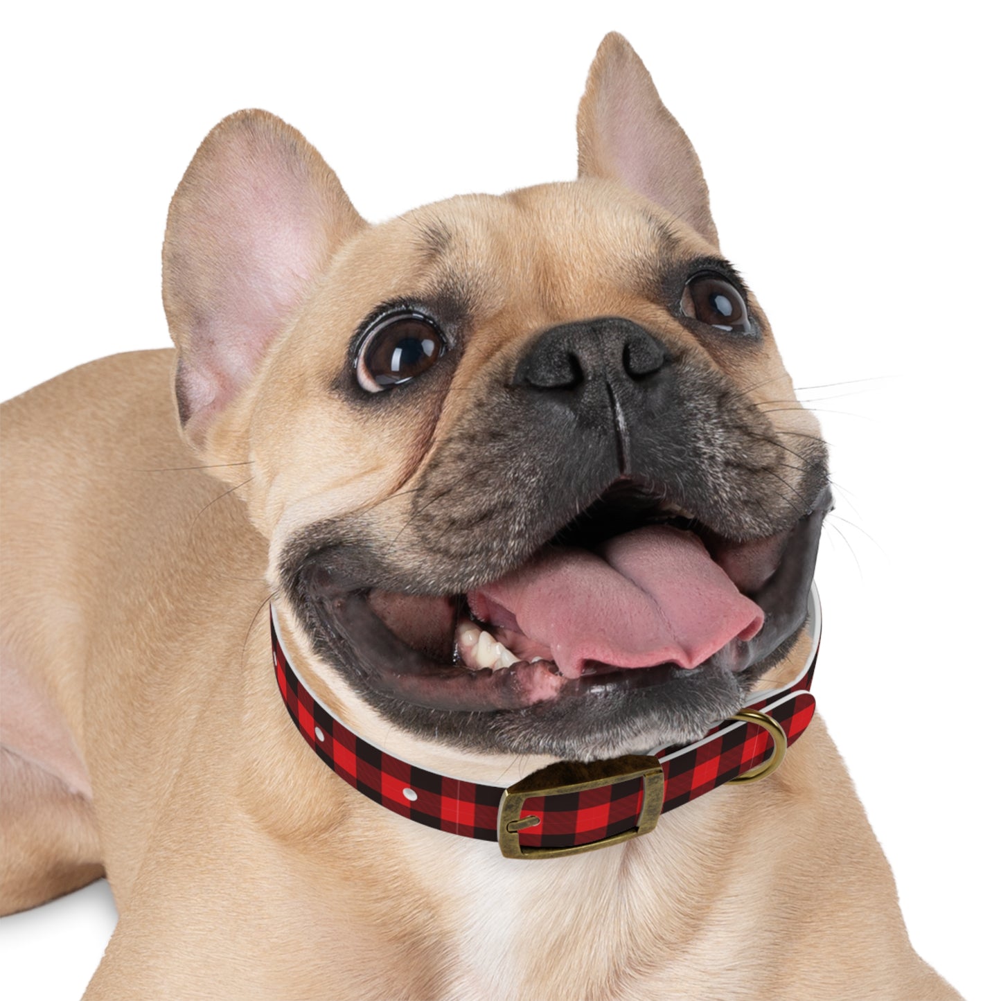 Red Flannel Dog Collar