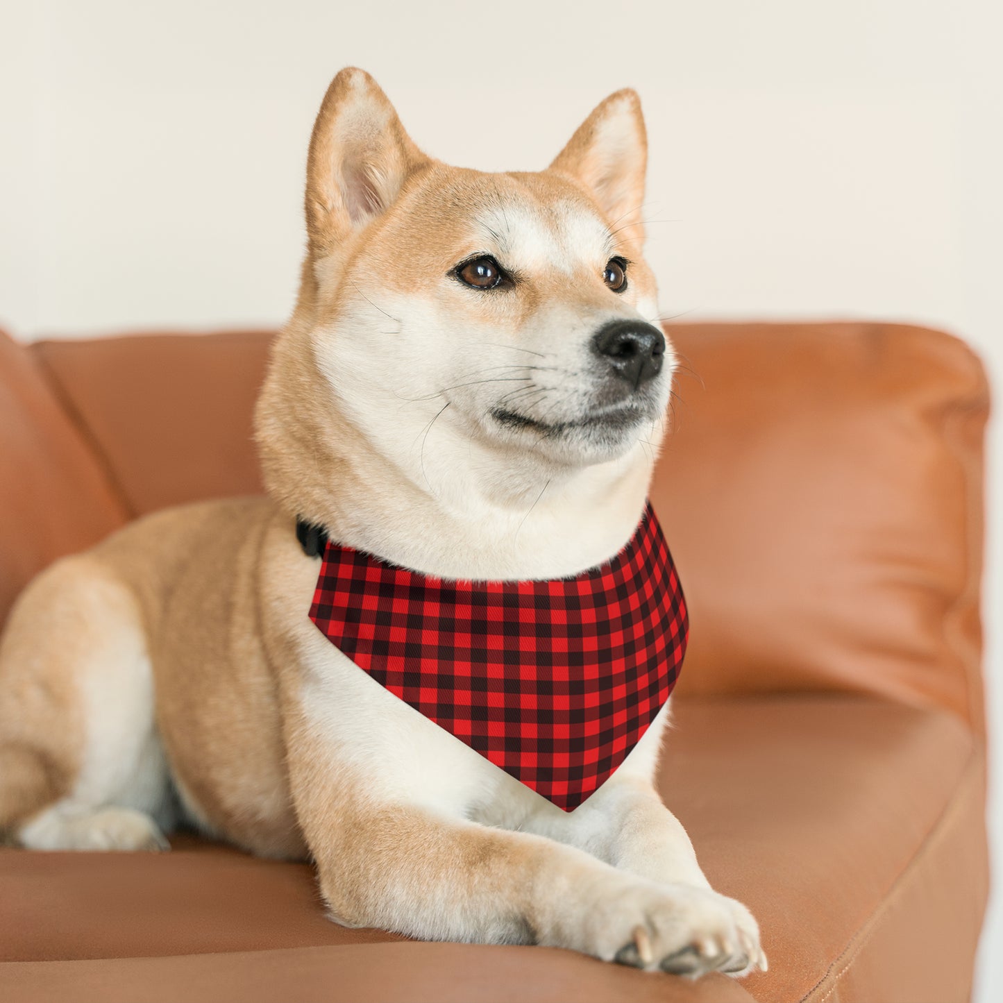 Red Flannel Pet Bandana Collar