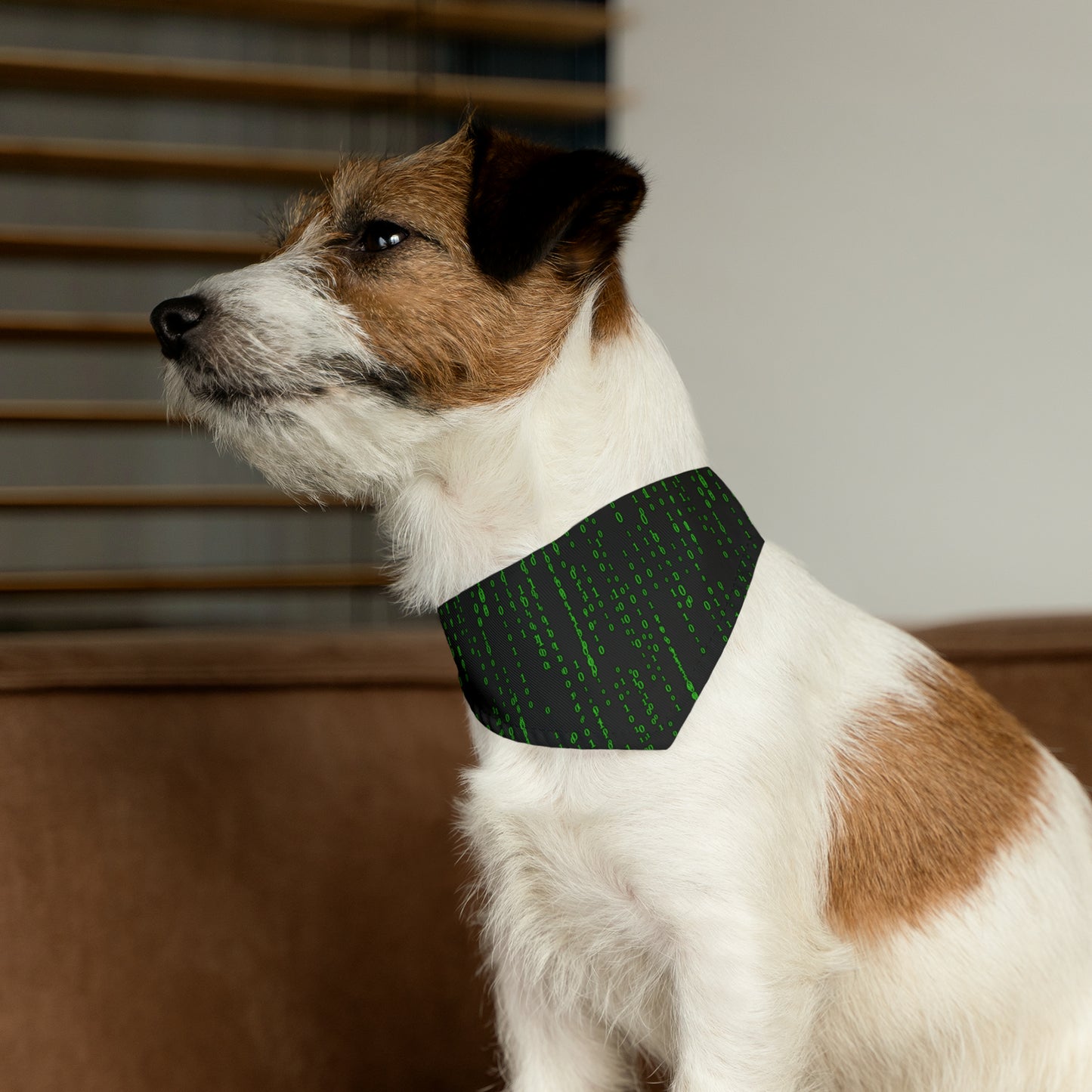Matrix Code Pet Bandana Collar