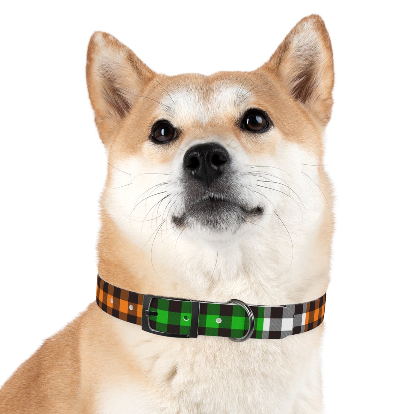 Irish Flannel Dog Collar