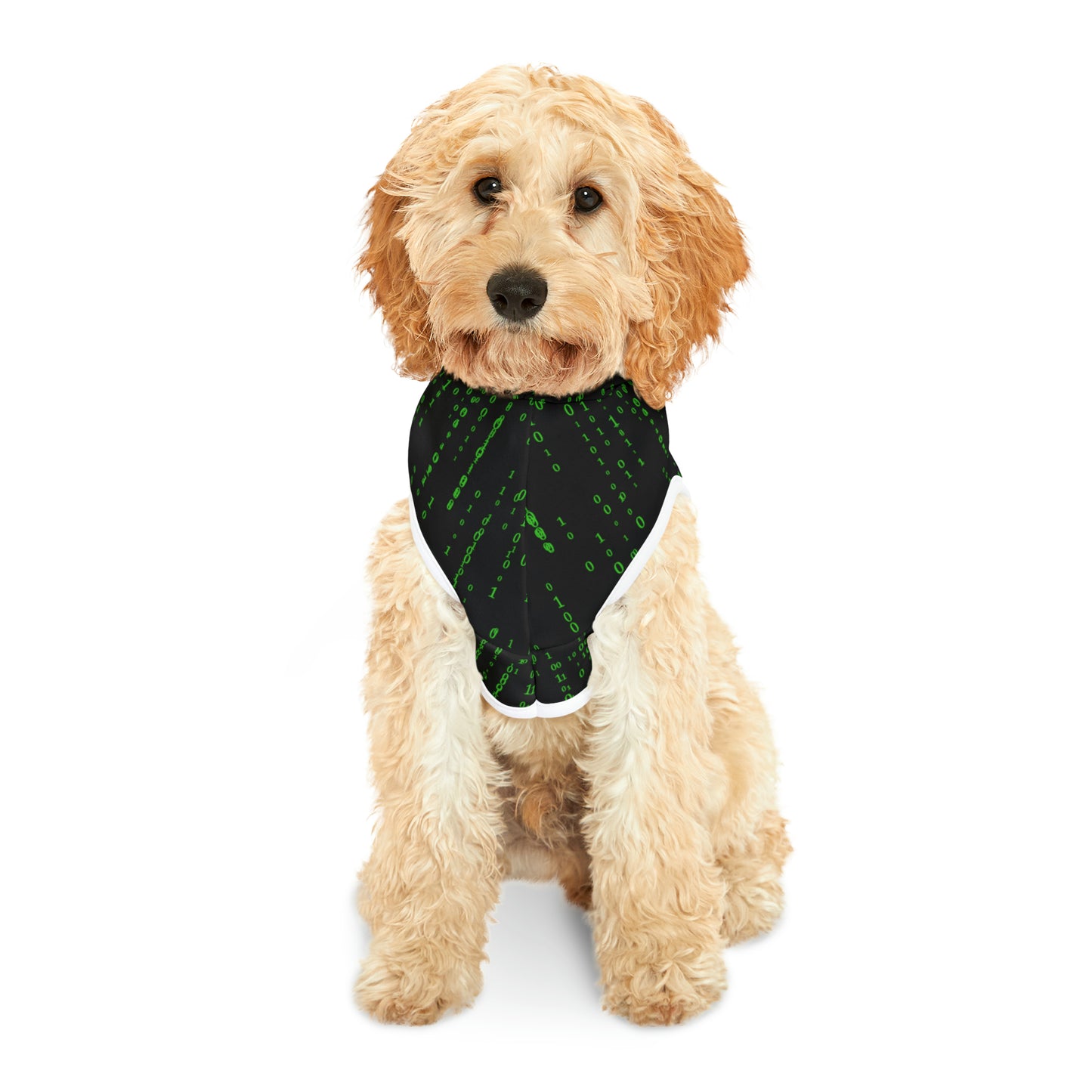 Matrix Code Pet Hoodie