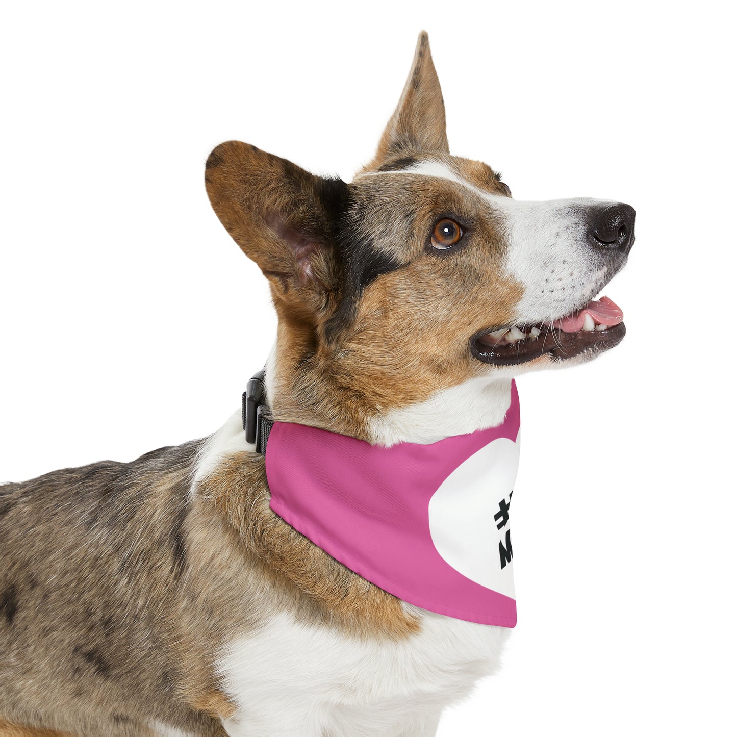 Mothers Day (#1 Mom) Pet Bandana Collar