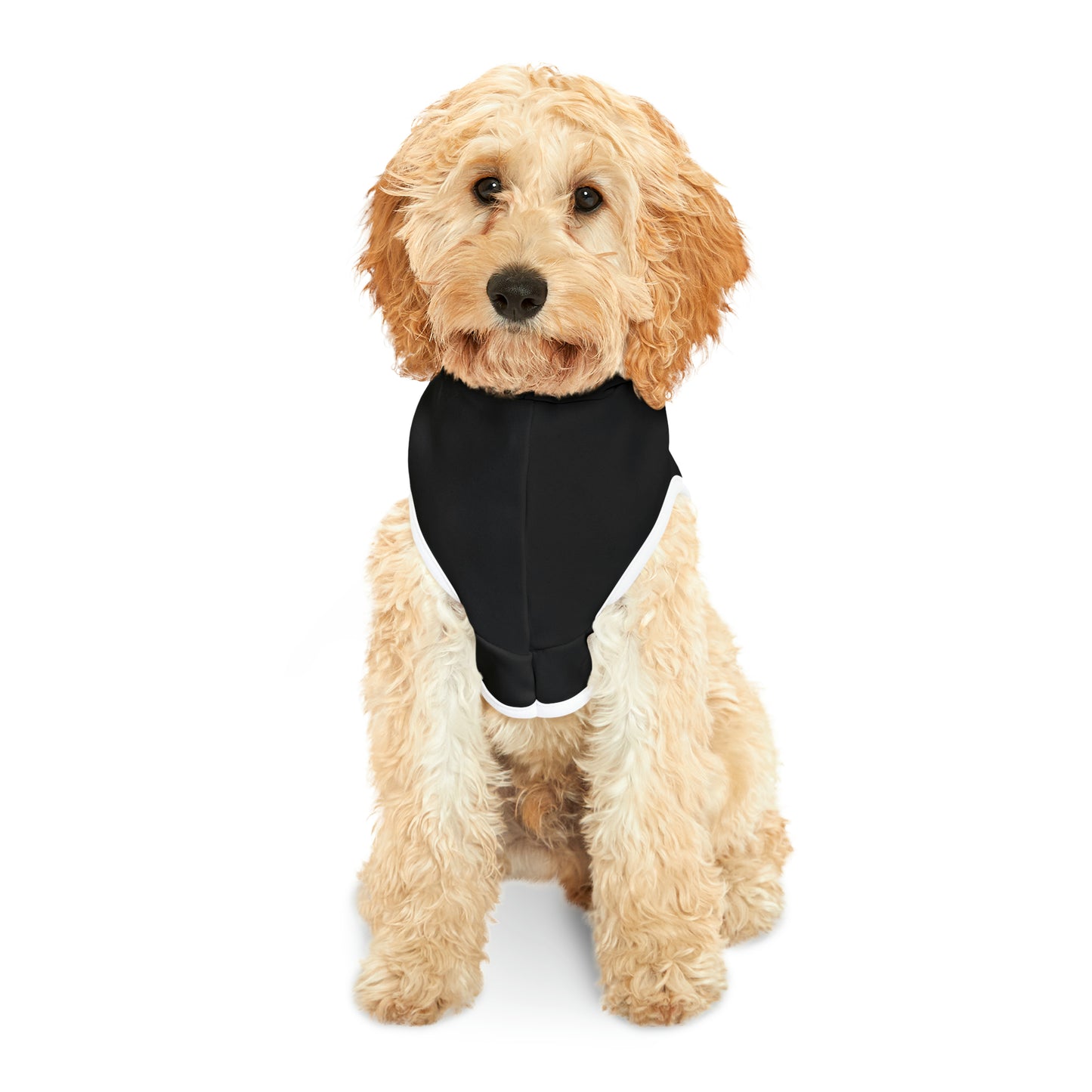 Woofs (Friends Style) Pet Hoodie