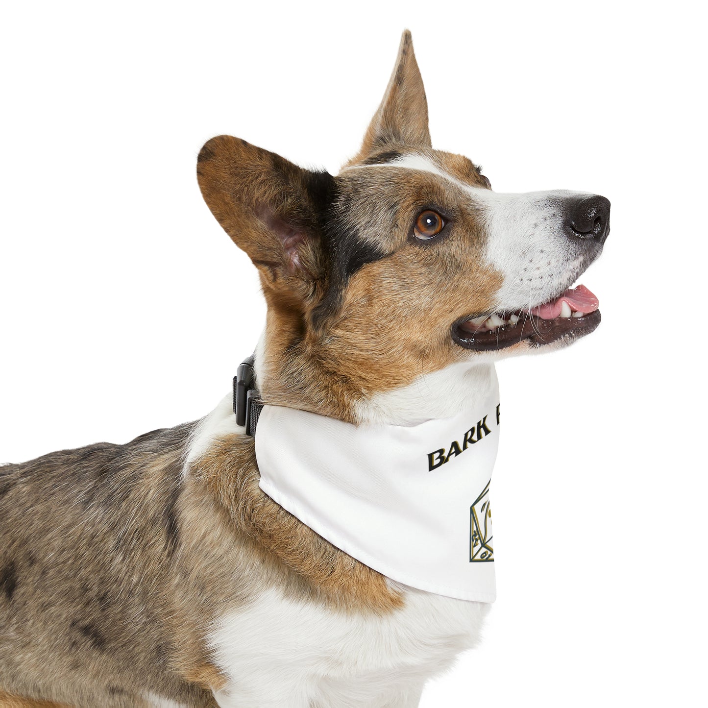 Bark Party Pet Bandana Collar