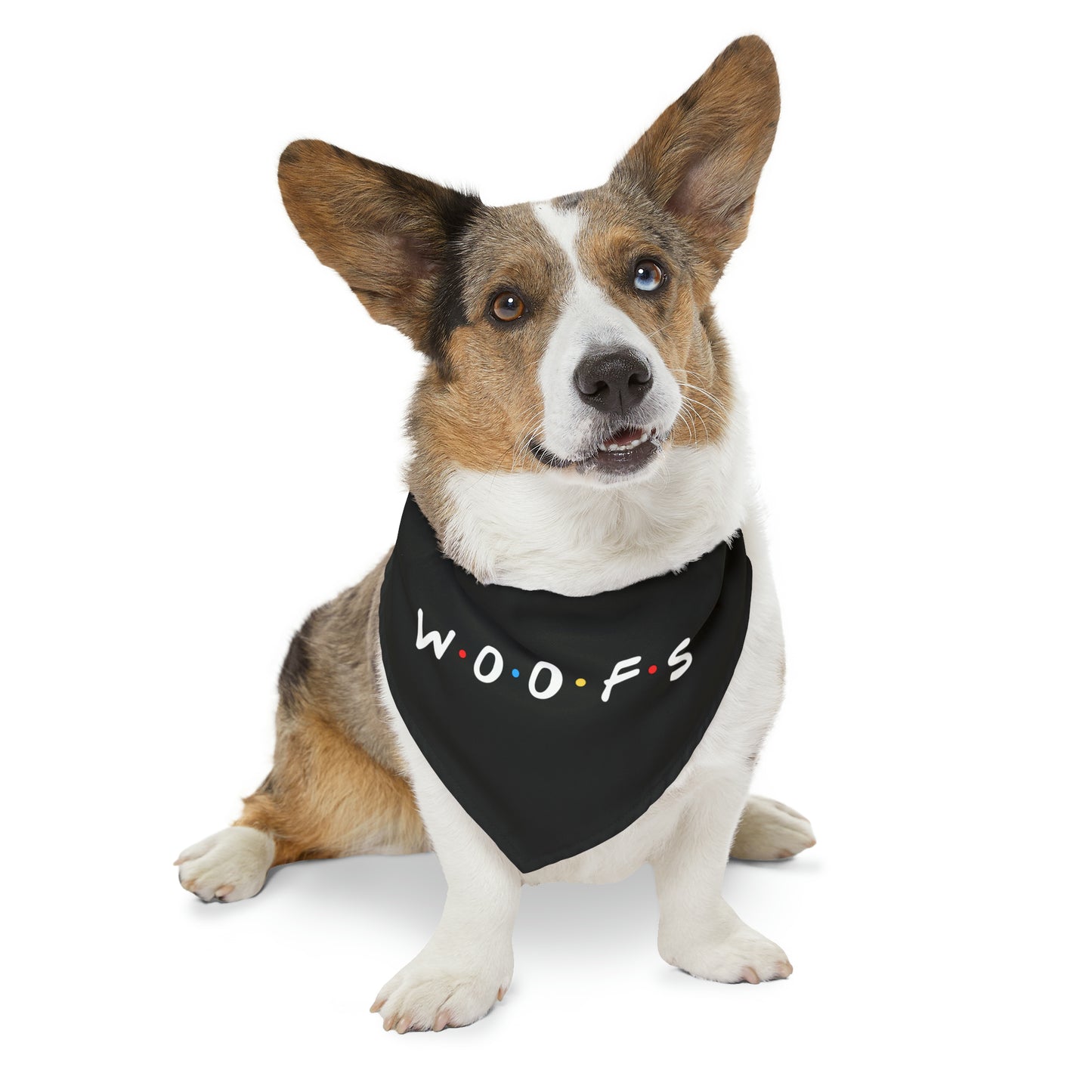 Woofs (Friends Style) Pet Bandana Collar