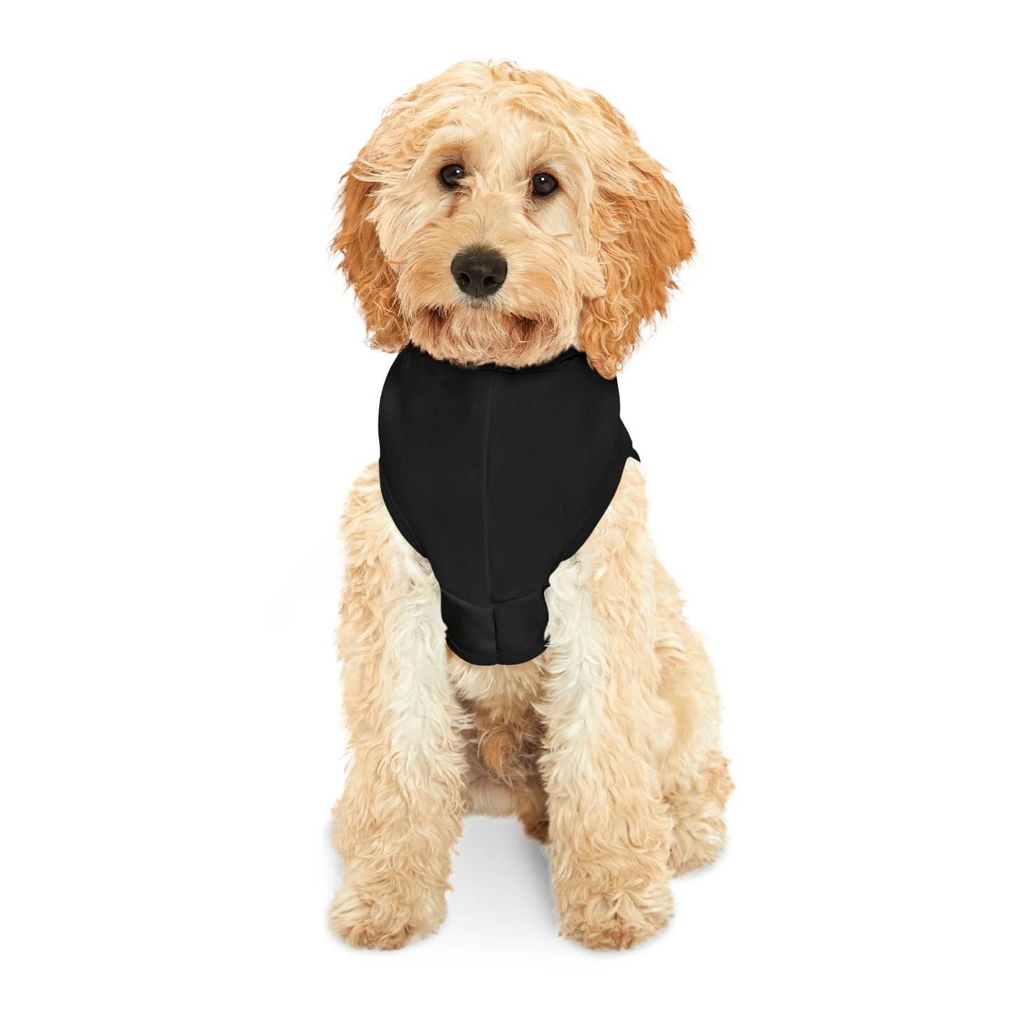 Woofs (Friends Style) Pet Hoodie