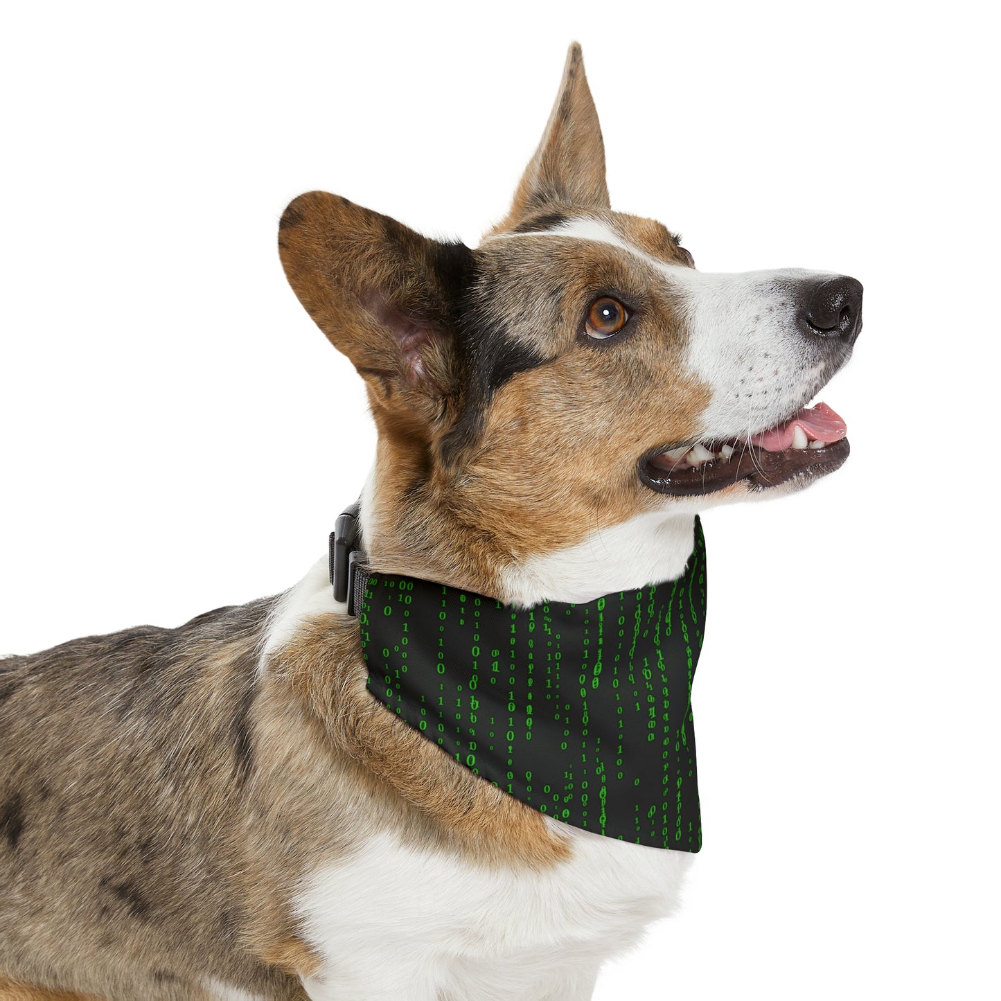 Matrix Code Pet Bandana Collar