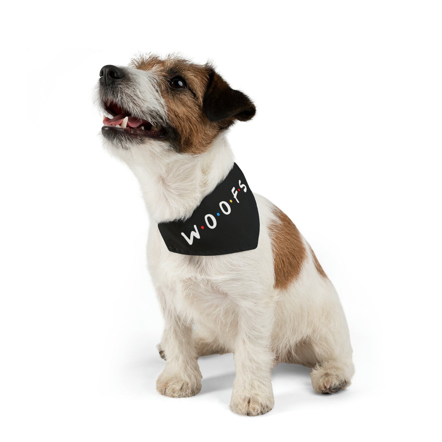 Woofs (Friends Style) Pet Bandana Collar