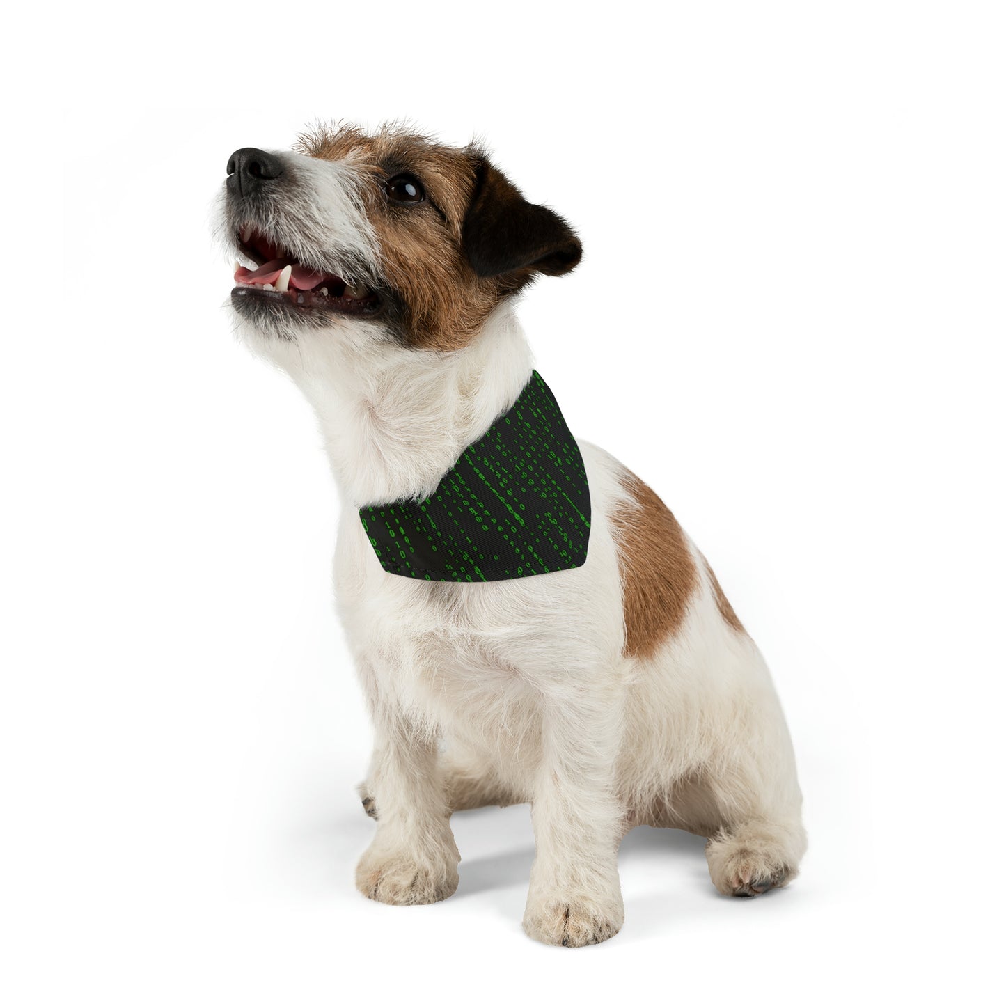 Matrix Code Pet Bandana Collar