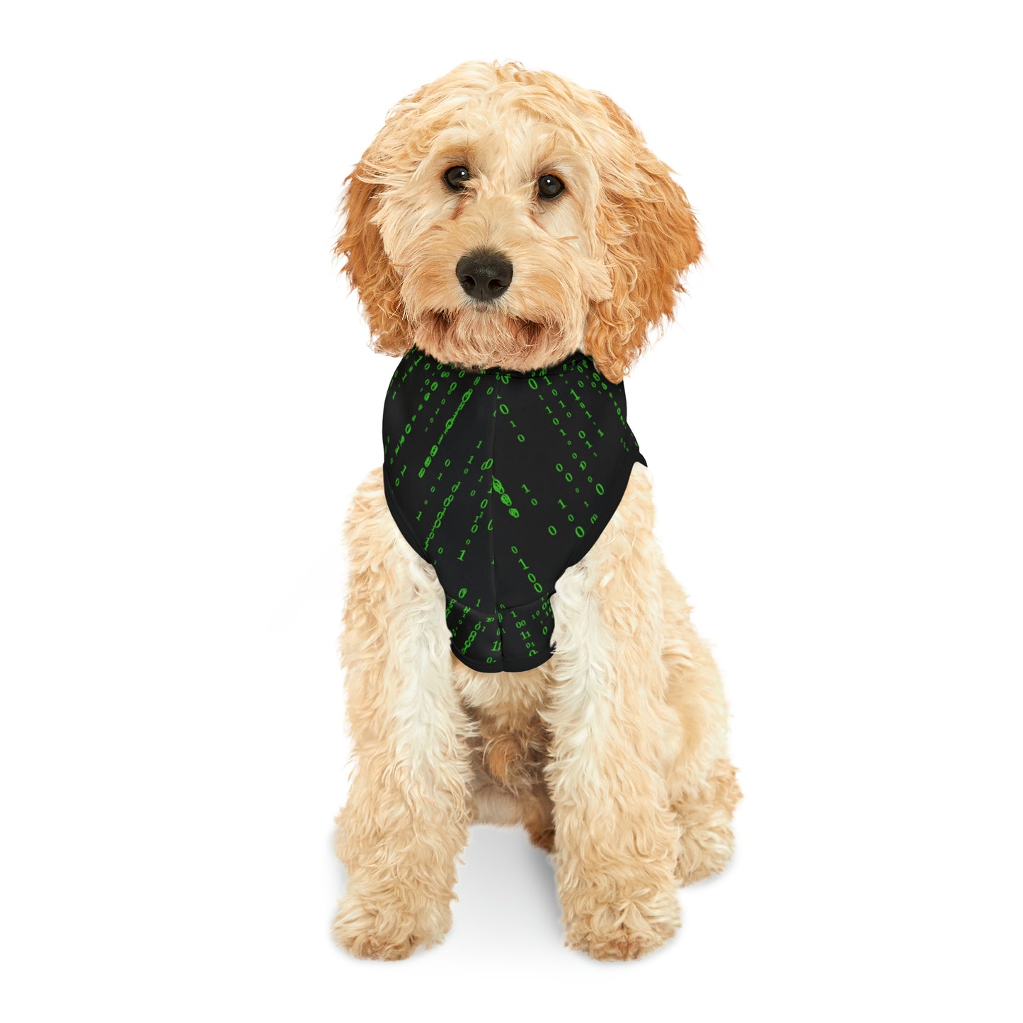 Matrix Code Pet Hoodie