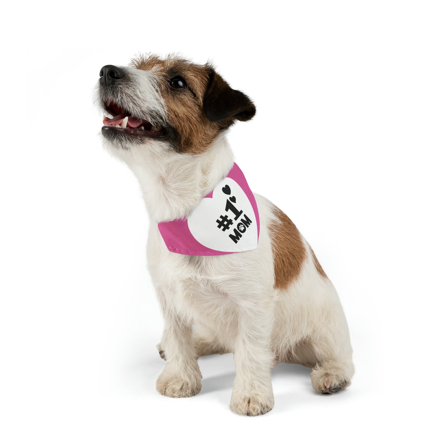 Mothers Day (#1 Mom) Pet Bandana Collar