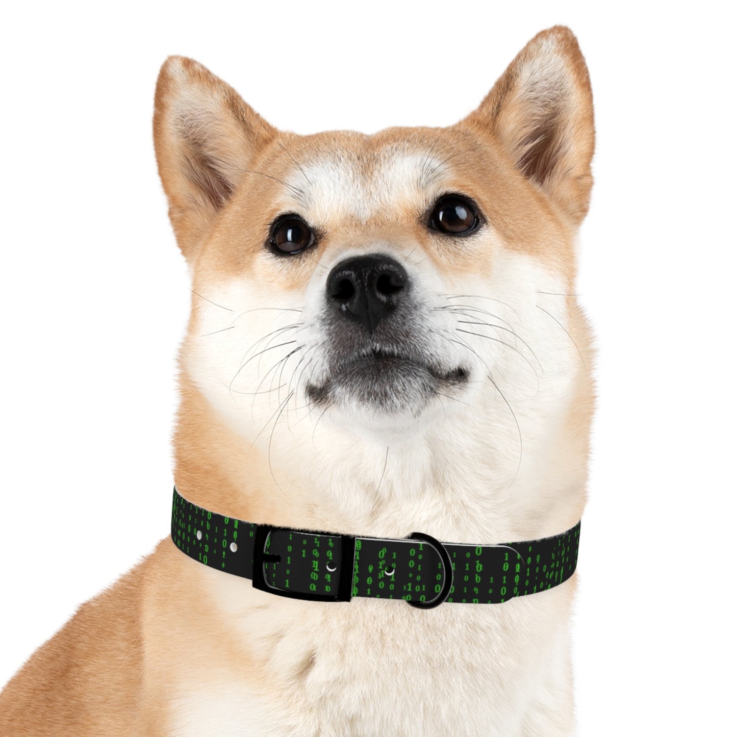 Matrix Code Dog Collar