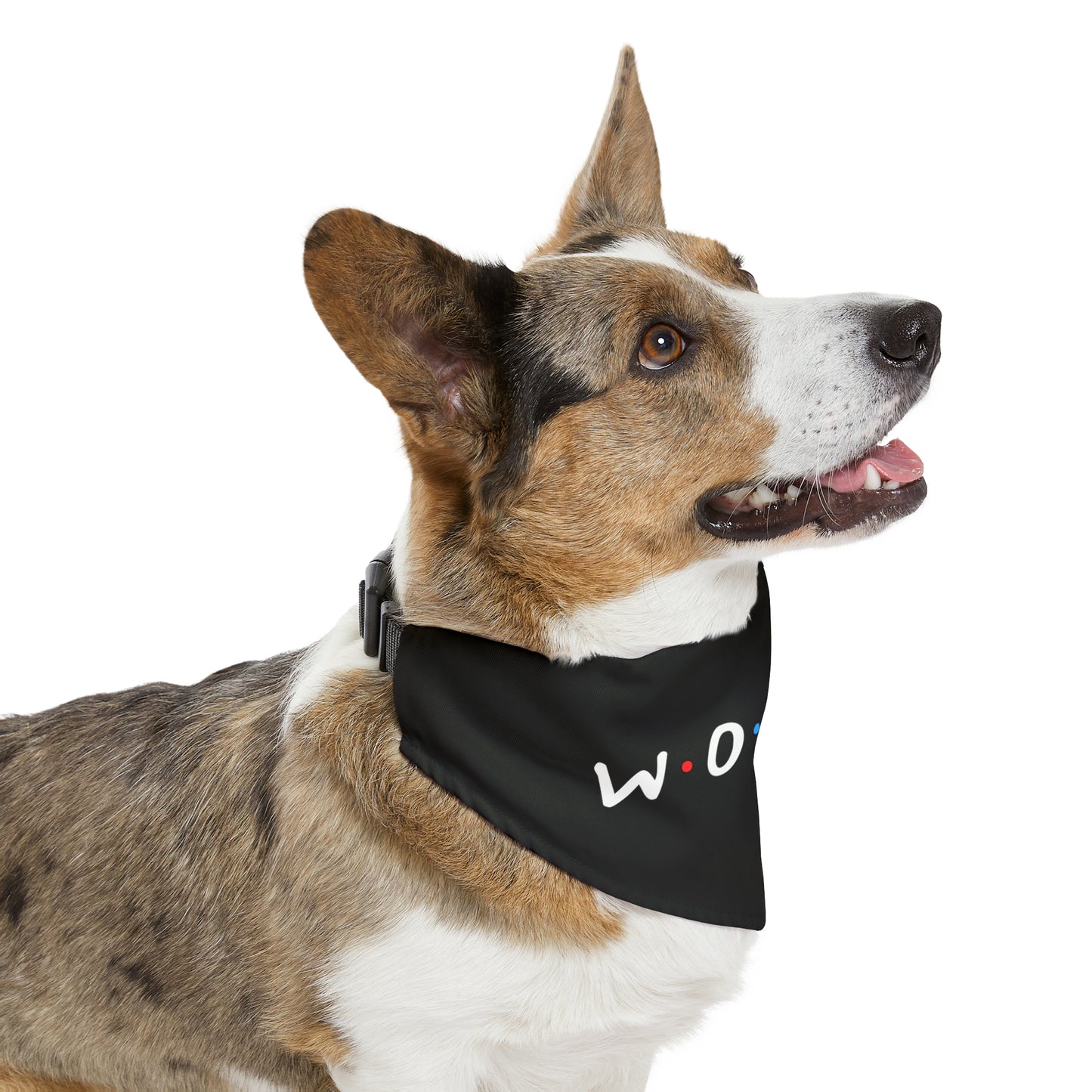 Woofs (Friends Style) Pet Bandana Collar