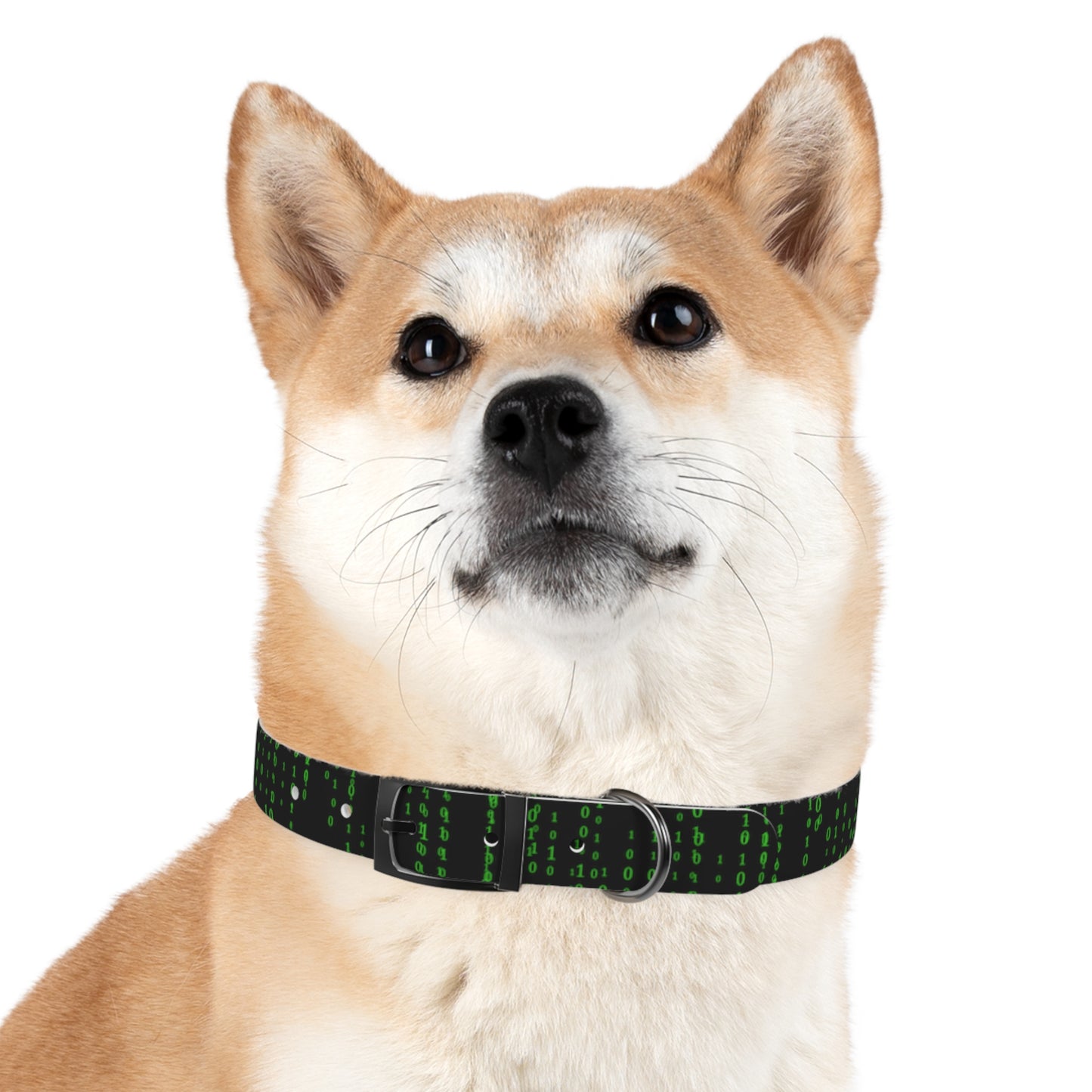 Matrix Code Dog Collar