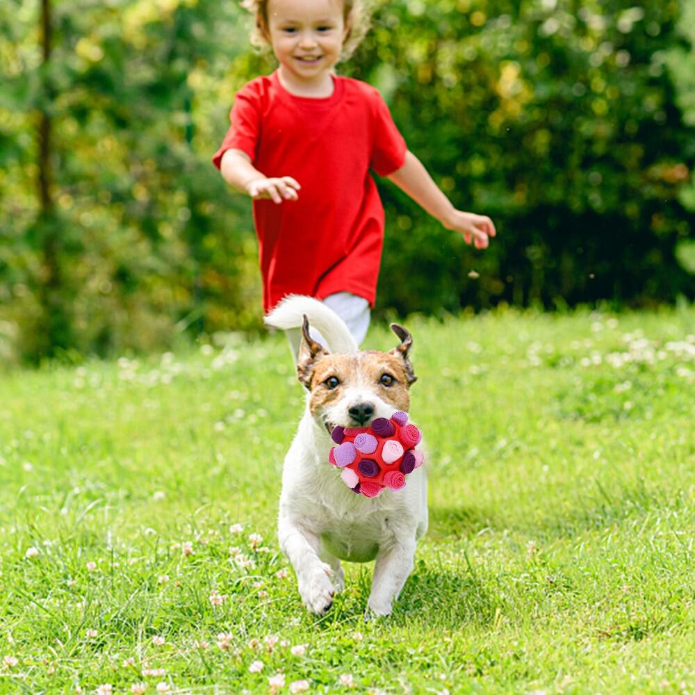 Dog Enrichment Treat Finder