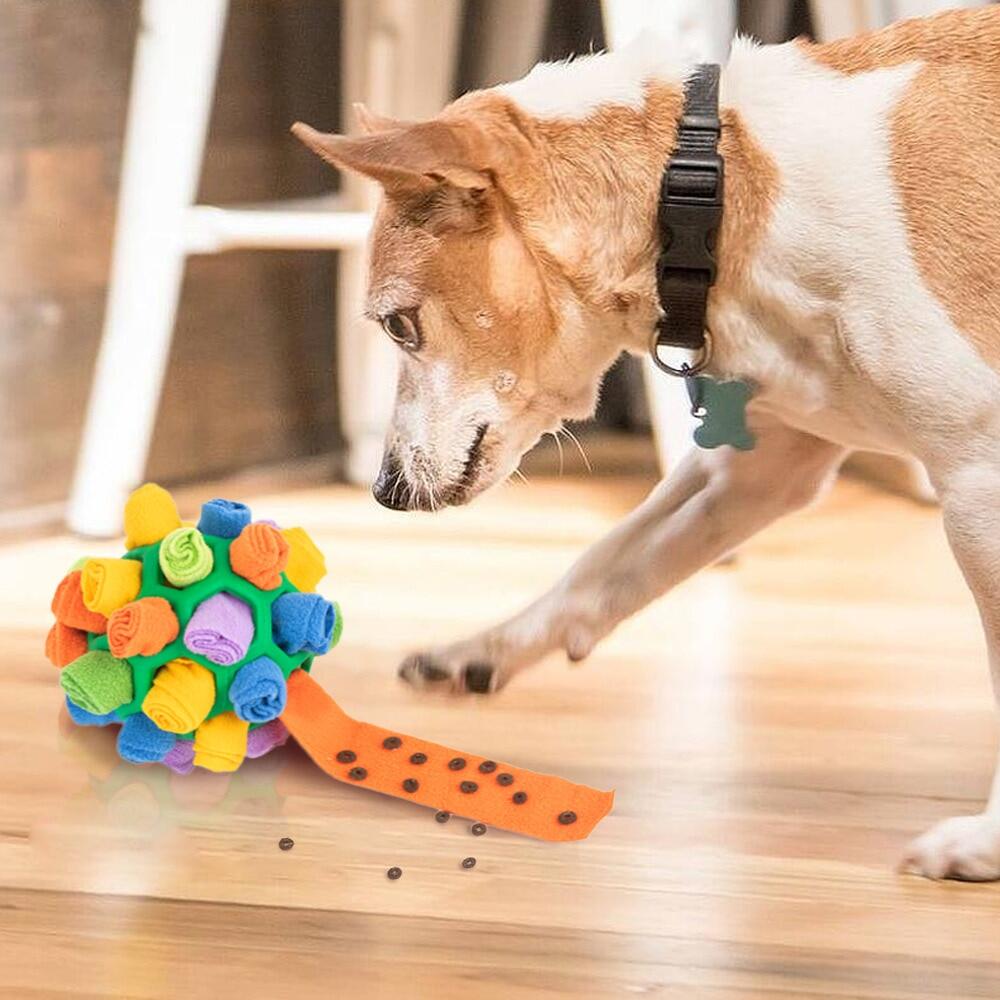 Dog Enrichment Treat Finder